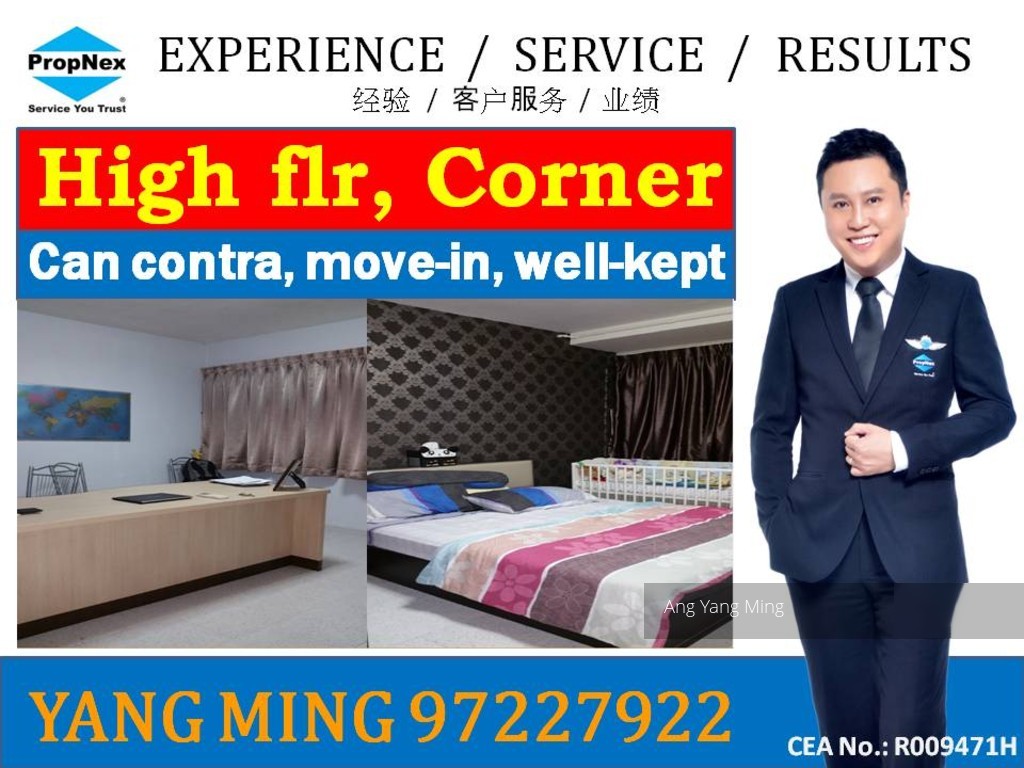 Blk 422 Choa Chu Kang Avenue 4 (Choa Chu Kang), HDB 4 Rooms #106976552